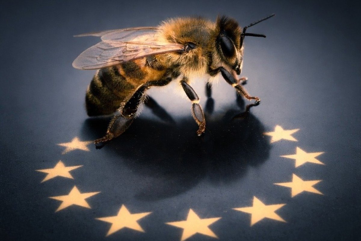 La UE en la carrera de la IA: ¿Abeja rebelde o archipiélago digital?