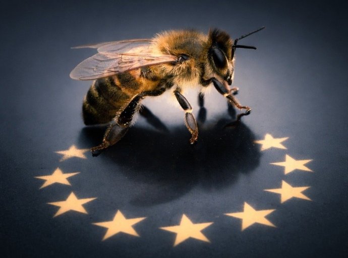 La UE en la carrera de la IA: ¿Abeja rebelde o archipiélago digital?