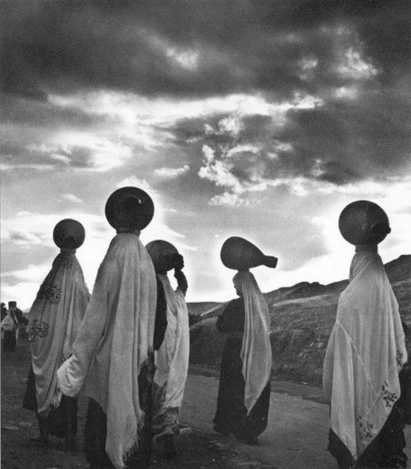 aqabat jabr refugee camp jericho